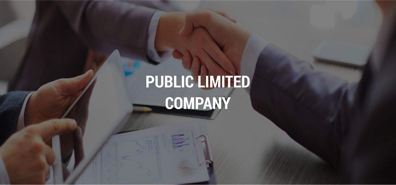 Public Limited Company | Sca India